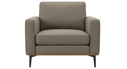 Isolated Modern Armchair