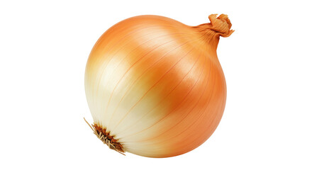 Isolated Yellow Onion