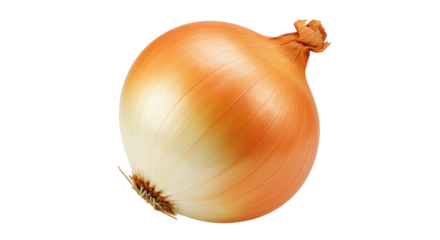 Isolated Yellow Onion