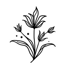 Elegant Line Art Floral Illustration on White