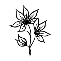 Minimalist Black and White Floral Line Art Illustration, Vector Design