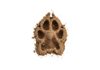Isolated Paw Print Muddy Trail of Canine