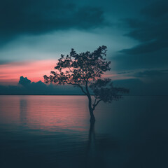 Obraz premium Lone tree reflected in calm water at dusk with colorful sky