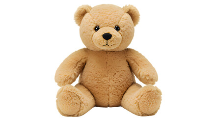 teddy bear isolated on white