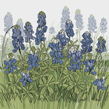 Texas Bluebonnet Field Sketch &ndash; Wildflower Line Art Clipart
