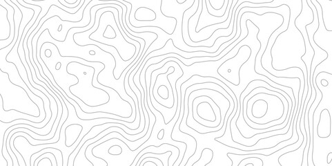 Abstract topographic contours map background, Topography map background. Vector geographic contour map