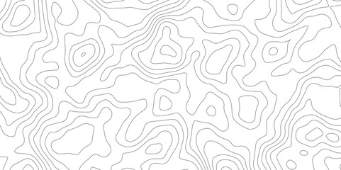 Abstract topographic contours map background, Topography map background. Vector geographic contour map