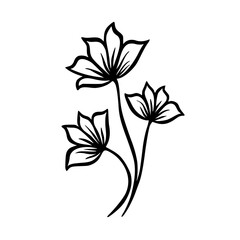 Minimalist Floral Line Art, Black & White Illustration on White