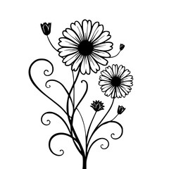 Elegant Black & White Daisy Floral Design