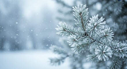Winter Wonderland Pine Branch - A snow-covered pine branch in a winter scene, snowflakes falling gently. Perfect for winter holiday themes
