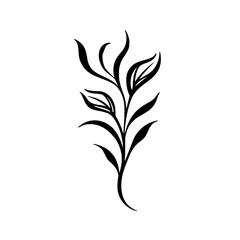 Minimalist Black and White Plant Illustration on White Background