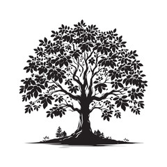 Kentucky Coffee Tree Vector - Kentucky Coffee Tree Silhouette - Kentucky Coffee Tree Art - Kentucky Coffee Tree black and white design.
