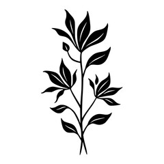 Elegant Black and White Floral Illustration