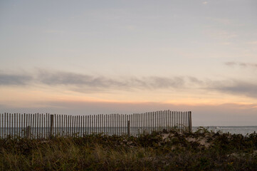Fototapeta premium Coastal Dune Fence and Seagrass with Ocean Horizon at Sunset