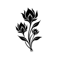 Elegant Black Floral Silhouette Illustration, Isolated on White