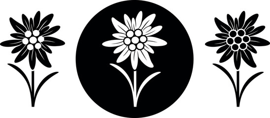 Edelweiss logo. Isolated edelweiss on white background