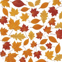 Fototapeta premium Seamless Autumn Leaf Pattern with Red, Yellow, and Orange Foliage – Seasonal Background for Print Design, Social Media Graphics, Editorial Use, and Decorative Projects