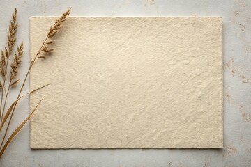 "Natural Handmade Paper on Beige Surface with Wheat Stalks"