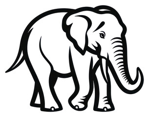 Fototapeta premium PNG Elephant wildlife animal mammal.