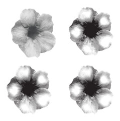 Flower in halftone and many  style illustration with a transparent background. Bold color and a retro, graphic print aesthetic. Ideal for poster and collage design element