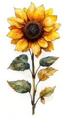 Fototapeta premium Botanical sunflower study classic painting style high resolution picture