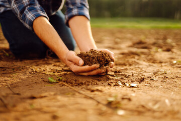 Close-up of the hands of a young agronomist in a checkered shirt holding fertile soil in an agricultural field. Black soil in the hands of a farmer checking the quality of the soil. 