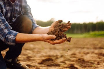 Close-up of the hands of a young agronomist in a checkered shirt holding fertile soil in an agricultural field. Black soil in the hands of a farmer checking the quality of the soil. 