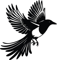 Magpie Silhouette Vector for Birdwatching and Nature Design