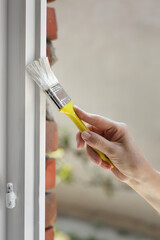 Adult woman paint wooden window to white color, old house window renovation, closeup of hand with tool