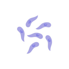 Toxoplasma gondii  bacteria. Vector illustration 