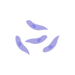 Toxoplasma gondii  bacteria. Vector illustration 