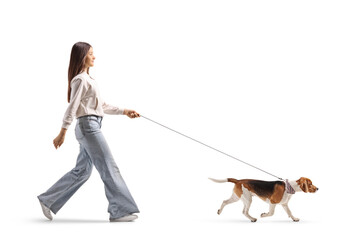 Teenage girl walking a beagle dog