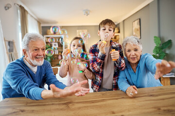 grandchild family child grandparent man woman grandfather happy together grandmother girl senior...