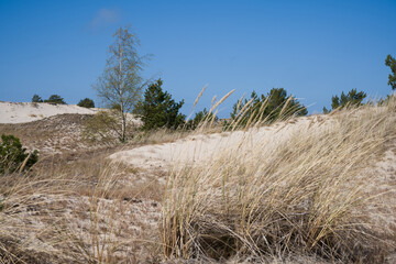 Słowinski National Park Sand Dunes, Poland