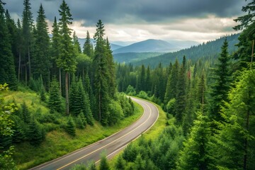 mountain road in the mountains