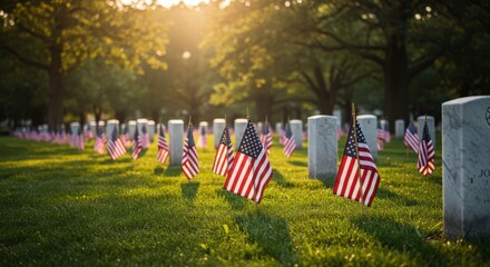 A cemetery with rows of headstones and american flags bathed in golden sunlight on a bright day outdoors