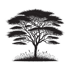 Obraz premium Acacia Tree Vector Silhouette, Iconic African Tree Outline, Nature-Inspired Clipart for Wall Art, Logos, Stickers, Apparel, Digital Prints, Crafts, Posters, and Home Decor.