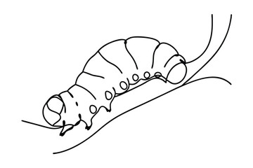 Line Art Illustration Of A Caterpillar Crawling On A Branch Vector Drawing
