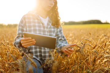 Close-up of young female farmer with digital tablet working in agricultural field. Female...