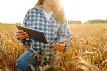 Close-up of young female farmer with digital tablet working in agricultural field. Female...