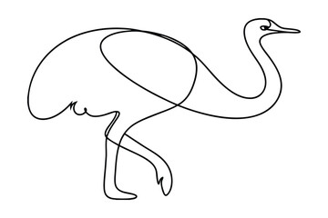 Ostrich Minimalist Line Art Continuous Drawing Illustration Isolated On White Background