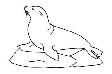 Sea Lion Outlined On The Rock Marine Animal Illustration Wildlife Vector