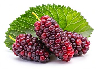 Fototapeta premium Mulberry isolated on white background