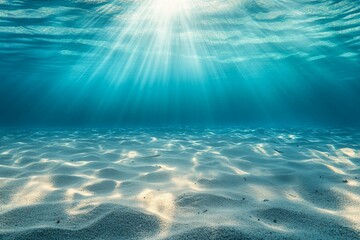 Panoramic underwater scene featuring sunlight rays, clear blue waters, and sandy ocean floor