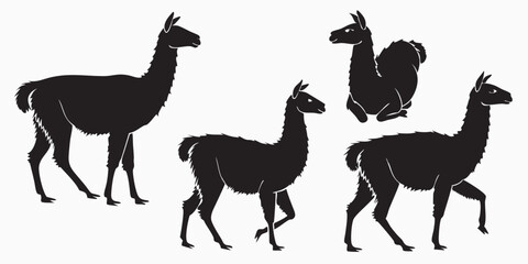 Black Llama Silhouettes Vector Art Standing Walking Sitting Llamas Animal Illustrations
