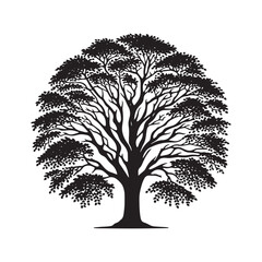 Beech Tree Vector Silhouette, Elegant Forest Tree Outline, Nature-Inspired Clipart for Wall Art, Logos, Stickers, Apparel, Digital Prints, Crafts, Posters, and Home Decor.
