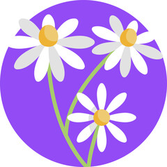 Icon of a Marguerite daisy with white petals and a yellow center, symbolizing innocence and cheerfulness.