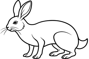 arctic hare silhouette line art vector illustration