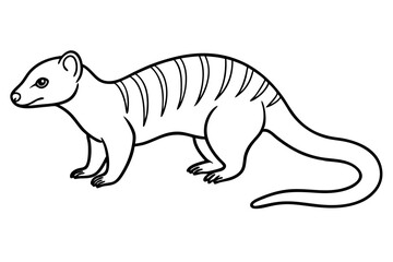 banded mongoose silhouette line art vector illustration