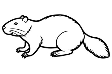 beaver silhouette line art vector illustration
